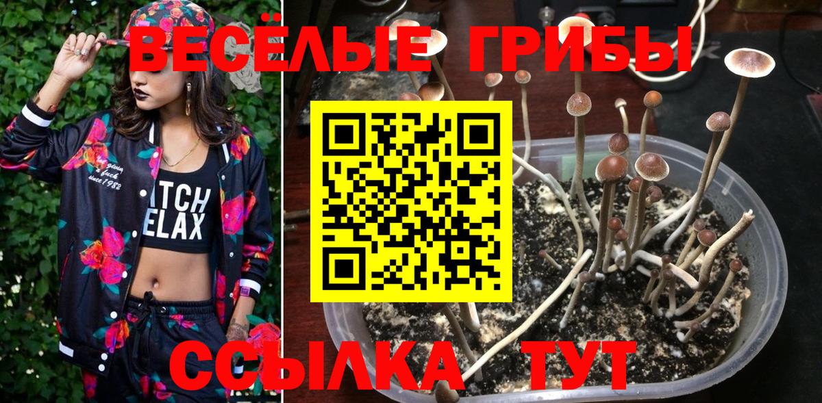 Псилоцибиновые грибы Magic Shrooms Карталы